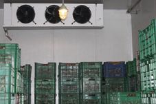 供應(yīng)香蕉的貯藏保鮮技術(shù) 香蕉保鮮冷庫 香蕉催熟冷庫_暖通制冷_世界工廠網(wǎng)中國產(chǎn)品信息庫